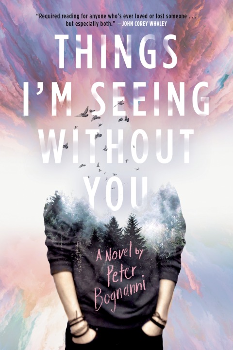 Cover image for book Things I'm Seeing Without You