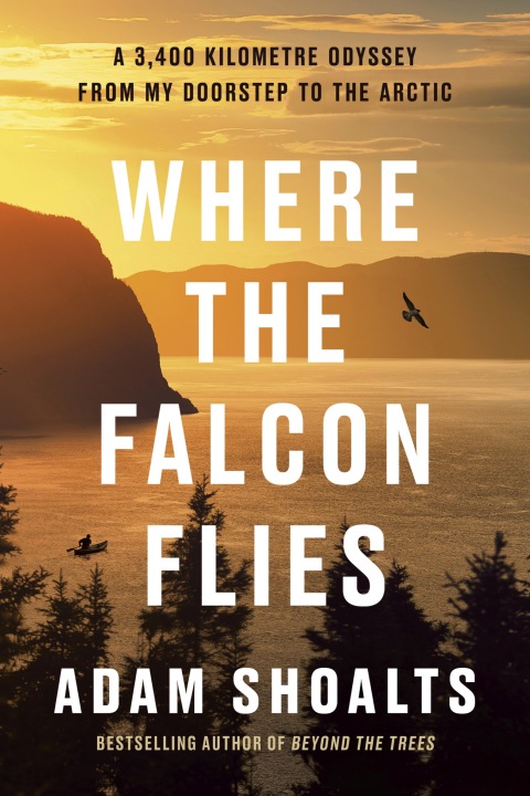 Cover image for book Where the Falcon Flies