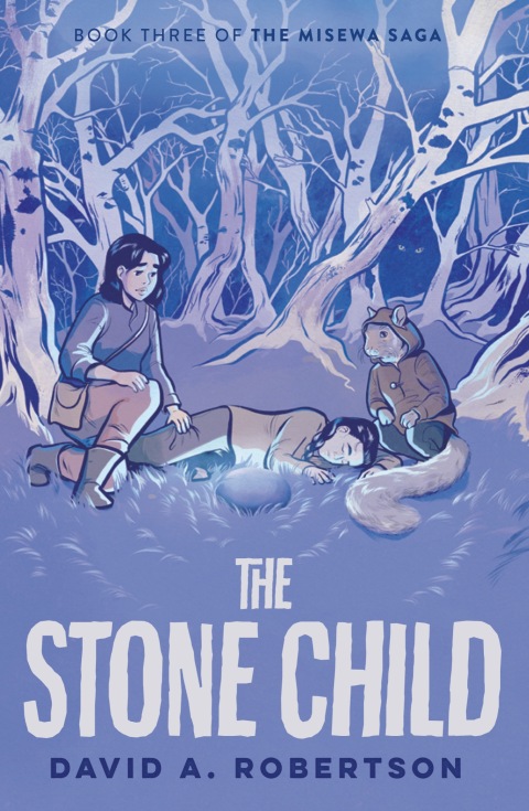 Cover image for book The Stone Child (The Misewa Saga, Book 3)