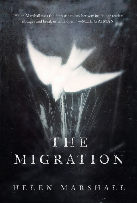 Cover image for book The Migration