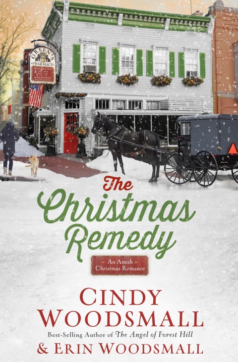 Cover image for book The Christmas Remedy