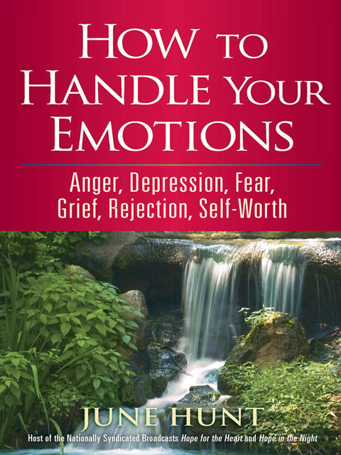 Cover image for book How to Handle Your Emotions