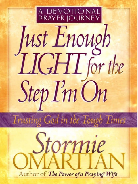 Cover image for book Just Enough Light for the Step I'm On--A Devotional Prayer Journey