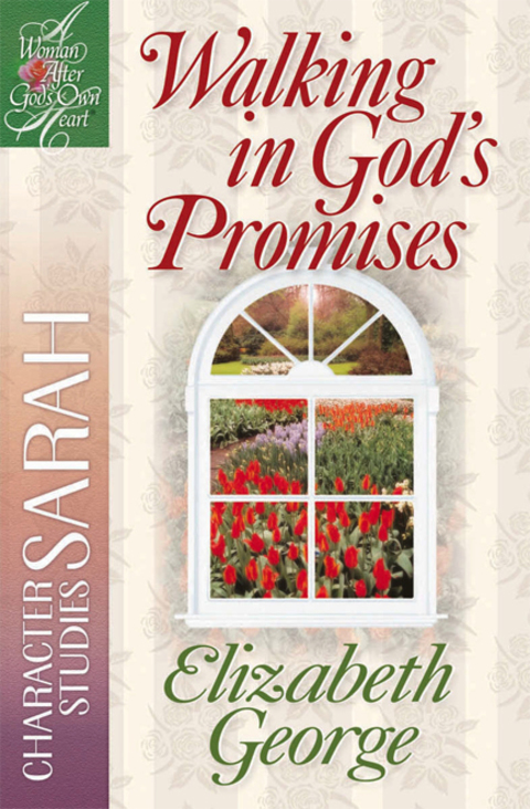 Cover image for book Walking in God's Promises