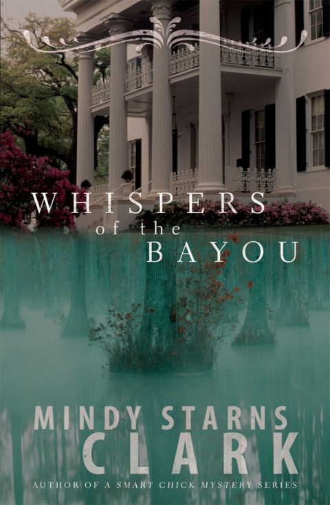 Cover image for book Whispers of the Bayou