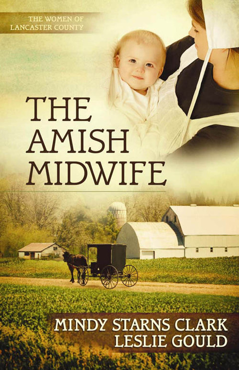Cover image for book The Amish Midwife