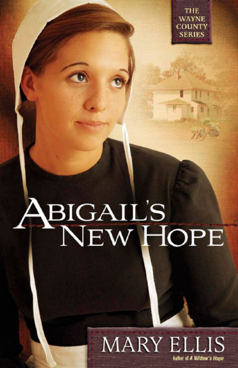 Cover image for book Abigail's New Hope