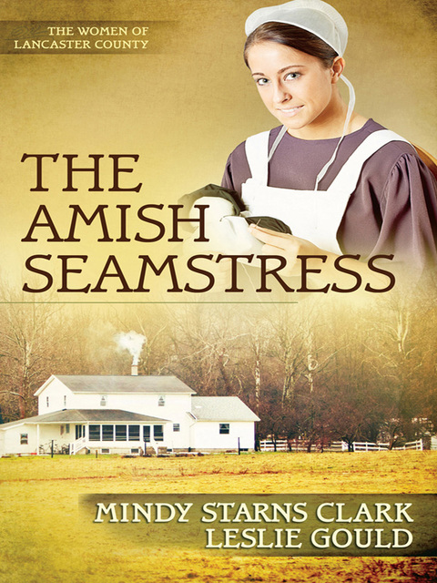 Cover image for book The Amish Seamstress