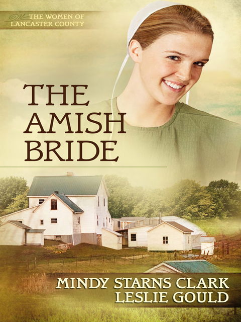 Cover image for book The Amish Bride