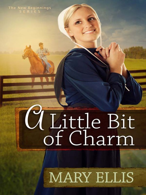 Cover image for book A Little Bit of Charm