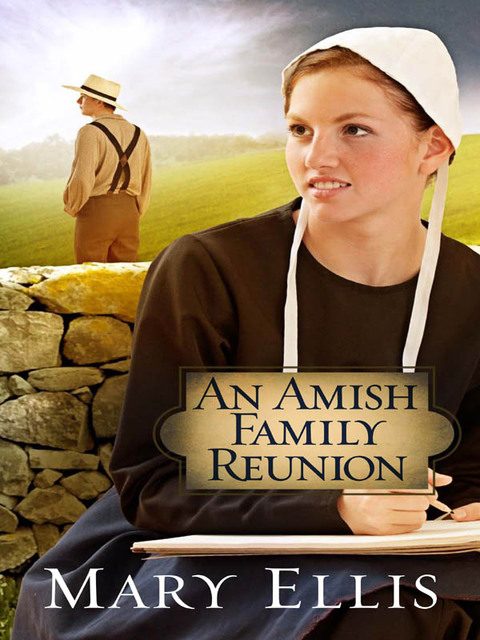 Cover image for book An Amish Family Reunion