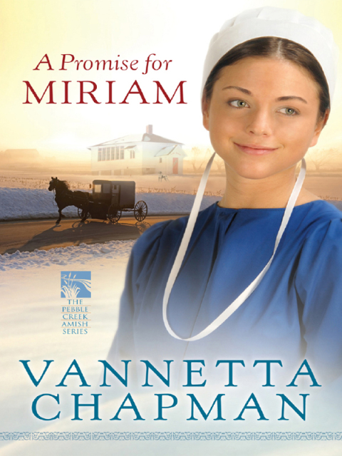 Cover image for book A Promise for Miriam