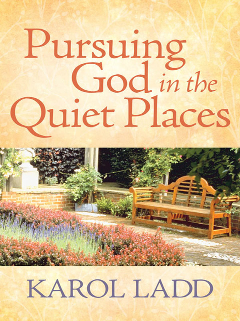 Cover image for book Pursuing God in the Quiet Places