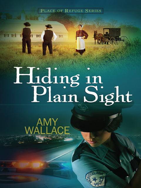 Cover image for book Hiding in Plain Sight
