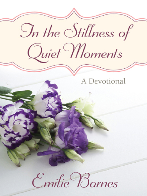 Cover image for book In the Stillness of Quiet Moments