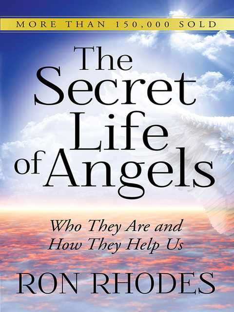 Cover image for book The Secret Life of Angels