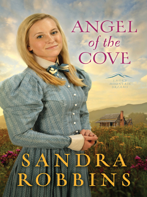 Cover image for book Angel of the Cove