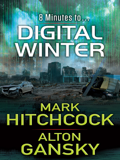 Cover image for book Digital Winter