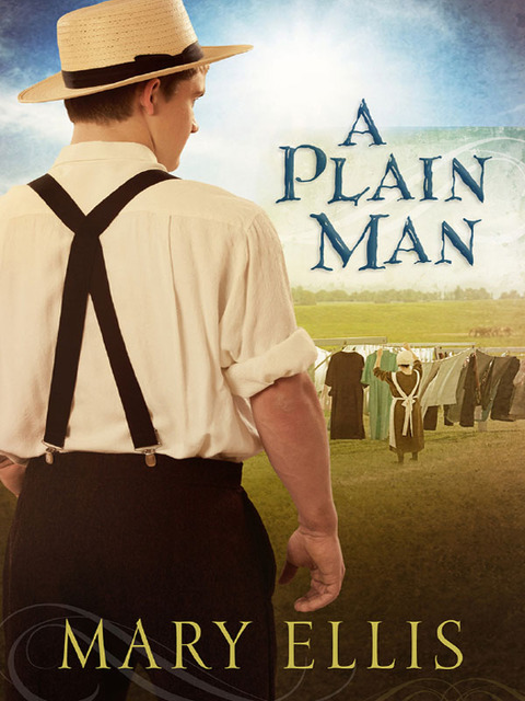 Cover image for book A Plain Man