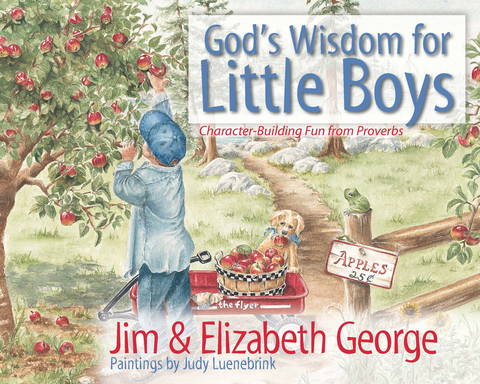 Cover image for book God's Wisdom for Little Boys