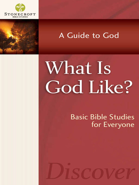 Cover image for book What Is God Like?