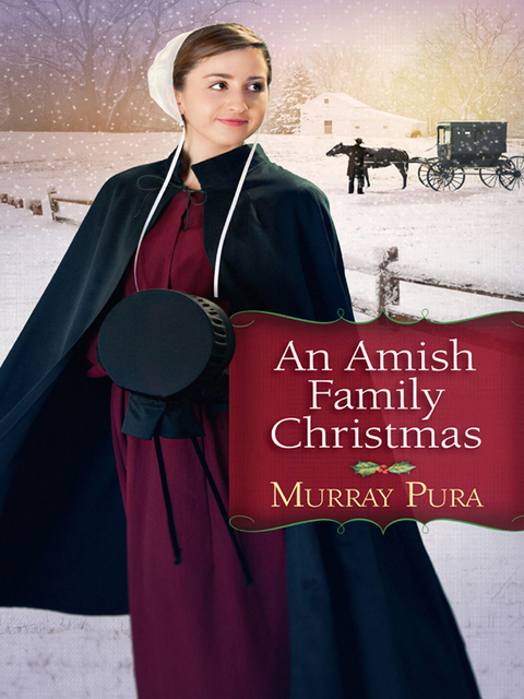 Cover image for book An Amish Family Christmas