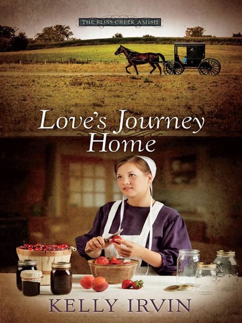 Cover image for book Love's Journey Home
