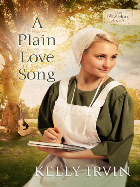 Cover image for book A Plain Love Song