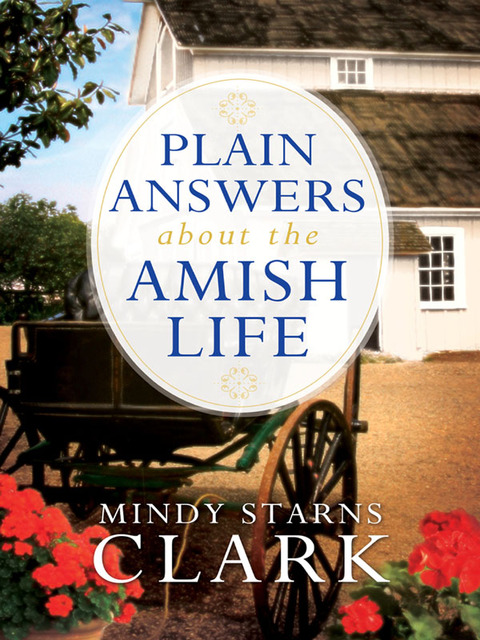 Cover image for book Plain Answers About the Amish Life