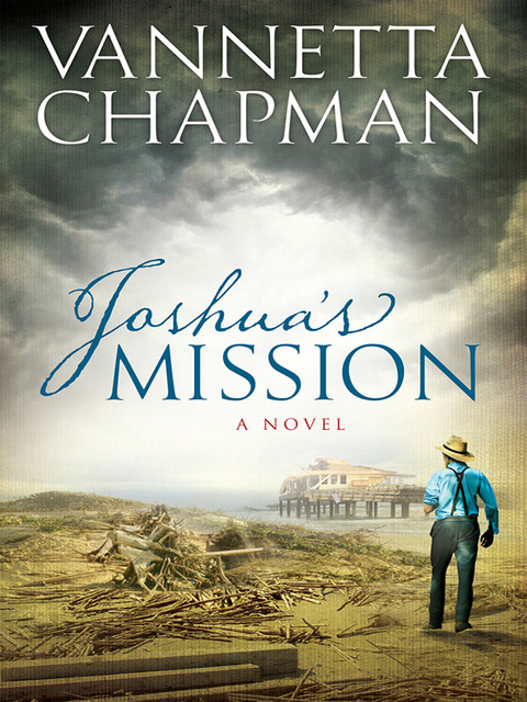 Cover image for book Joshua's Mission