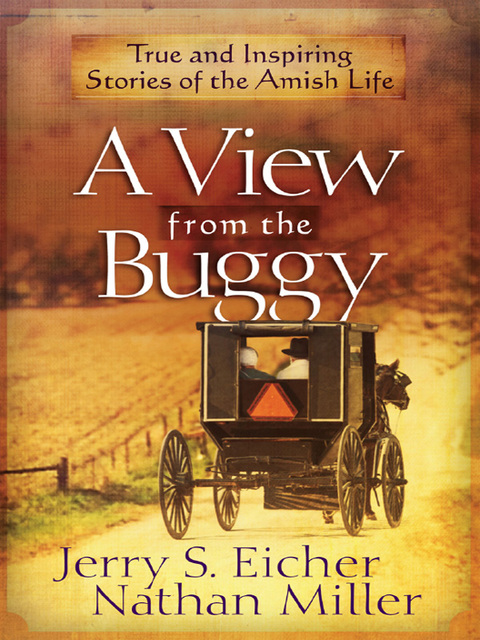 Cover image for book A View from the Buggy