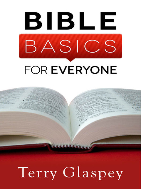 Cover image for book Bible Basics for Everyone