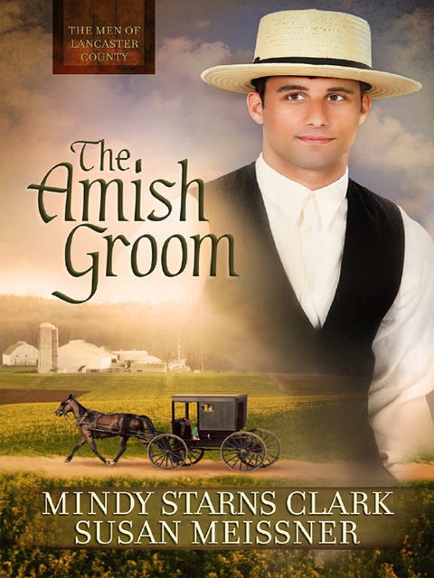 Cover image for book The Amish Groom