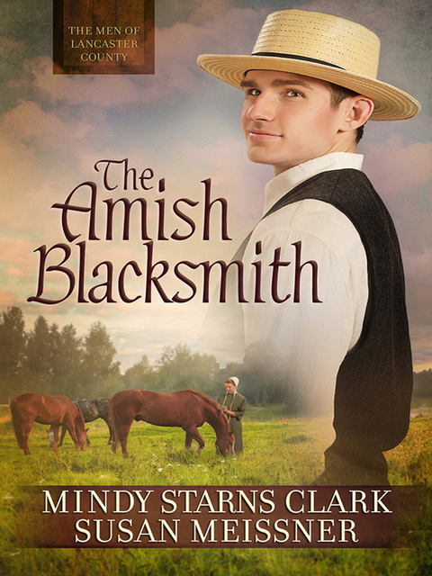 Cover image for book The Amish Blacksmith