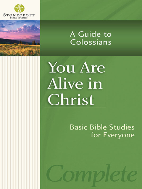 Cover image for book You Are Alive in Christ