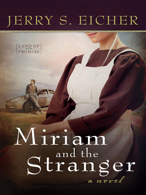 Cover image for book Miriam and the Stranger
