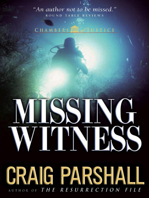 Cover image for book Missing Witness