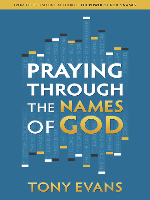 Cover image for book Praying Through the Names of God