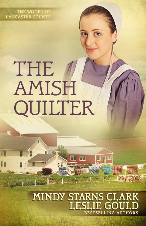 Cover image for book The Amish Quilter