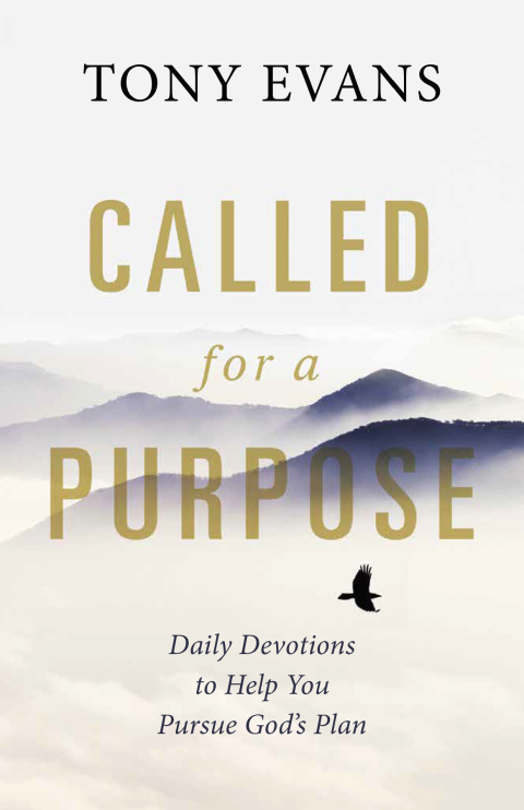 Cover image for book Called for a Purpose