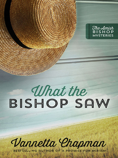 Cover image for book What the Bishop Saw