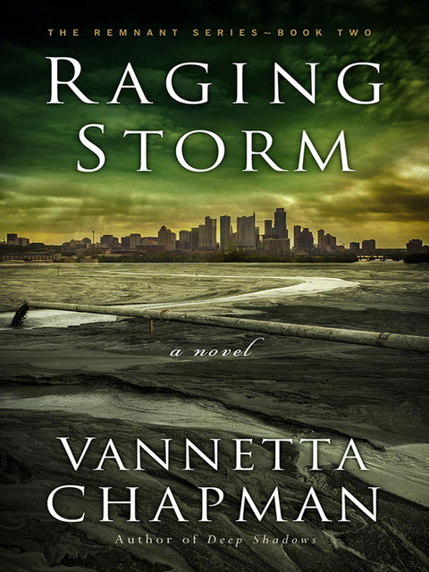 Cover image for book Raging Storm