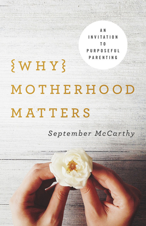 Cover image for book Why Motherhood Matters