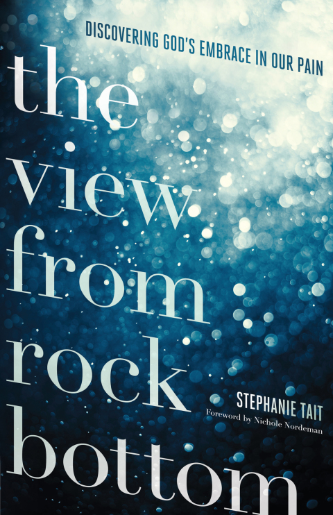 Cover image for book The View from Rock Bottom