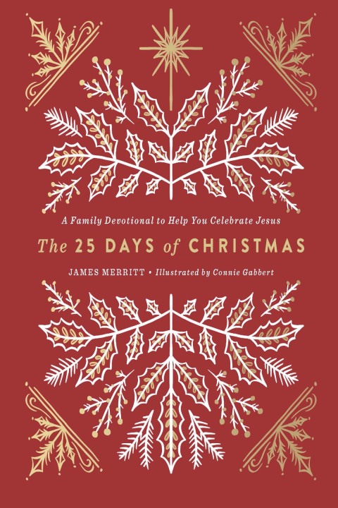 Cover image for book The 25 Days of Christmas