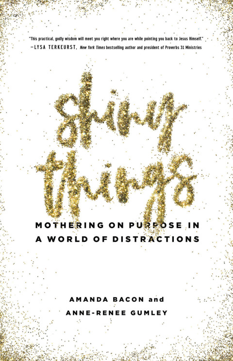 Cover image for book Shiny Things