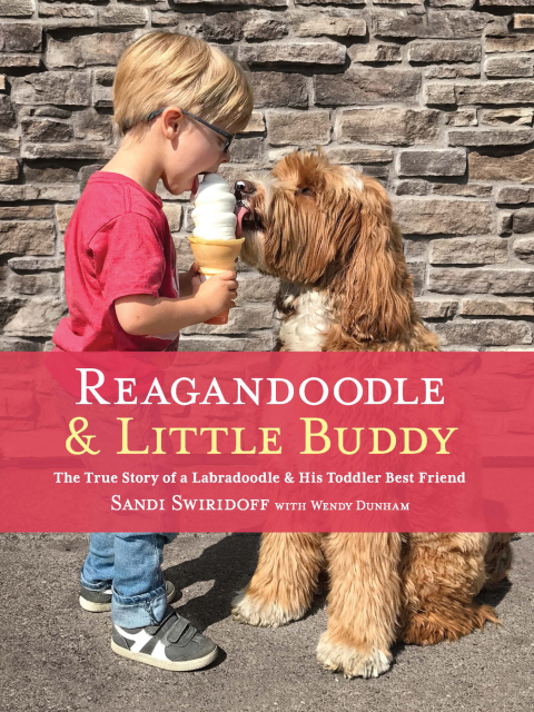 Cover image for book Reagandoodle and Little Buddy