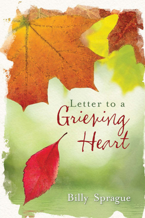 Cover image for book Letter to a Grieving Heart