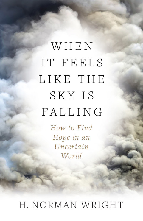 Cover image for book When It Feels Like the Sky Is Falling