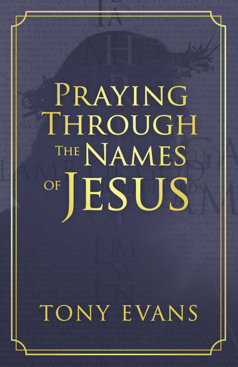 Cover image for book Praying Through the Names of Jesus